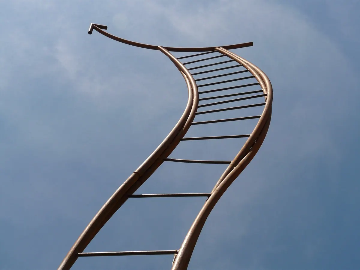 DIY or Call a Pro? Comparing Costs and Risks for Common Roof Repairs